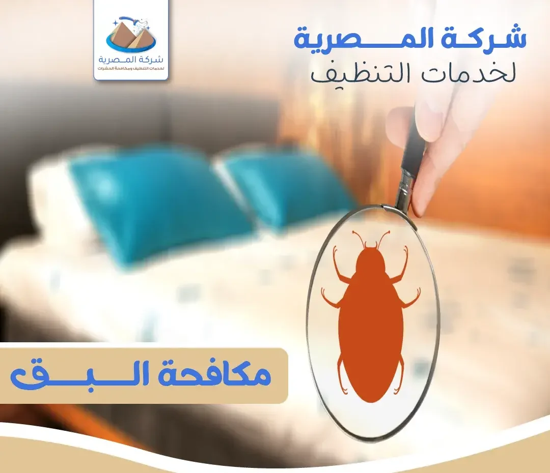 شركة المصرية للتنظيف توفر خدمة مكافحة البق باستخدام تقنيات متقدمة وآمنة لضمان بيئة خالية من الحشرات ومريحة للعيش.