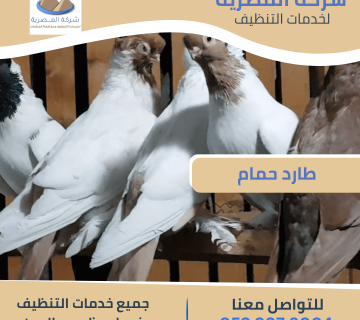 تركيب طارد حمام بأبوظبي