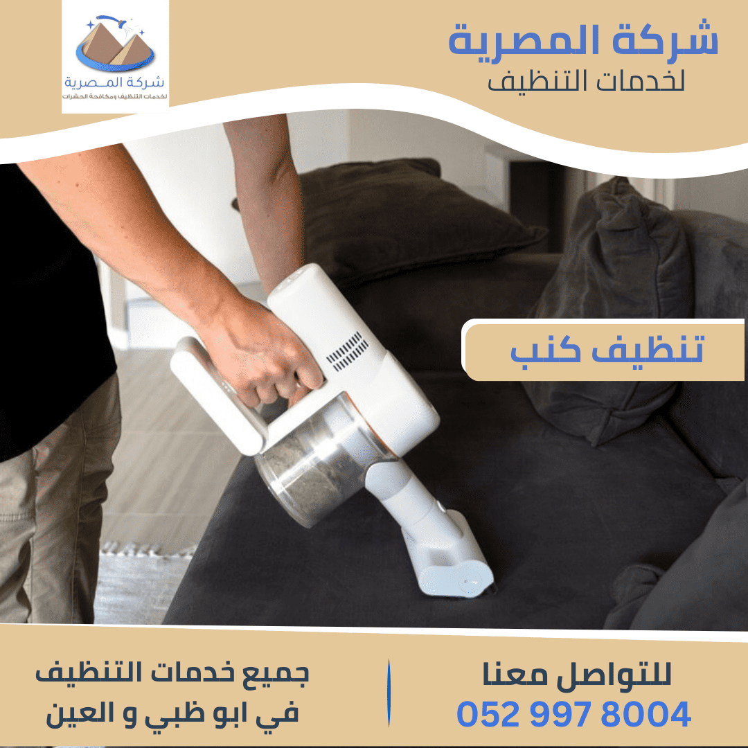 تنظيف الكنب بالبخار